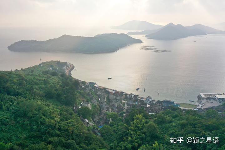 沙澧特晚秋黄梨苗_漯河市沙澧河风景区_致富经沙塘澧视频