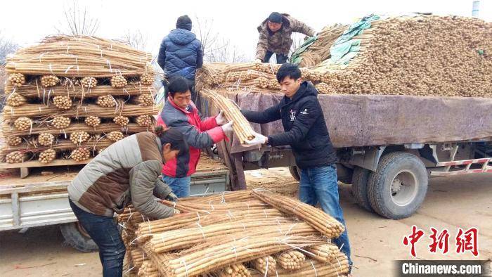 致富种植农业图片大全_致富种植农业图片高清_农业种植致富图