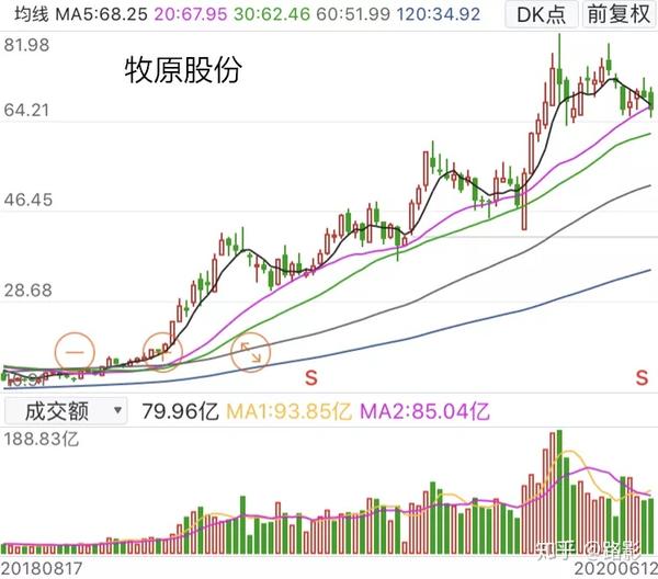 养殖猪技术培训学校视频_猪技术养殖_养殖猪技术视频大全