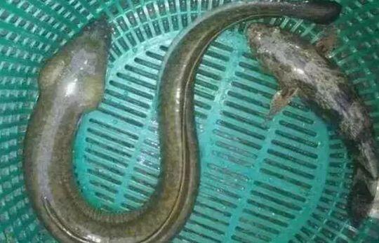 漯河市沙澧河风景区_沙澧产业集聚区_致富经沙塘澧视频