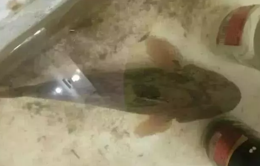 漯河市沙澧河风景区_致富经沙塘澧视频_沙澧产业集聚区