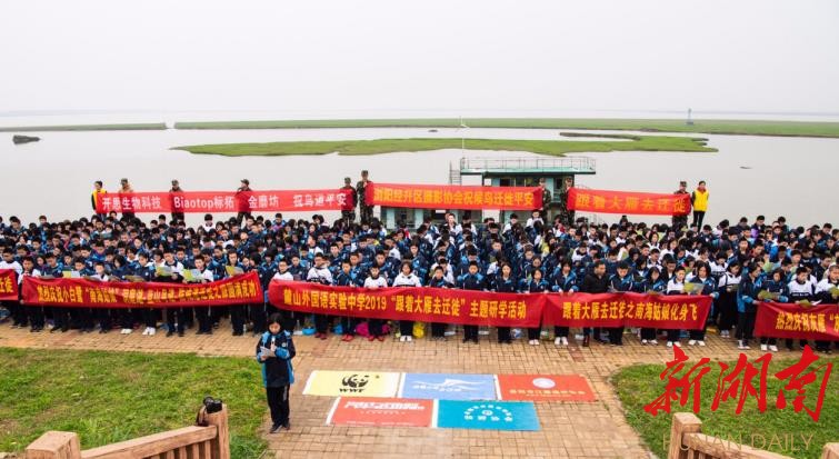 鹧鸪养殖技术视频大全_鹧鸪养殖设备_鹧鸪养殖前景及利润