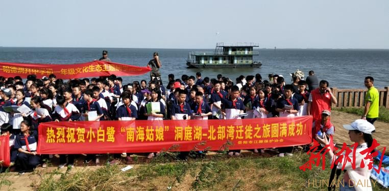 鹧鸪养殖技术视频大全_鹧鸪养殖前景及利润_鹧鸪养殖设备