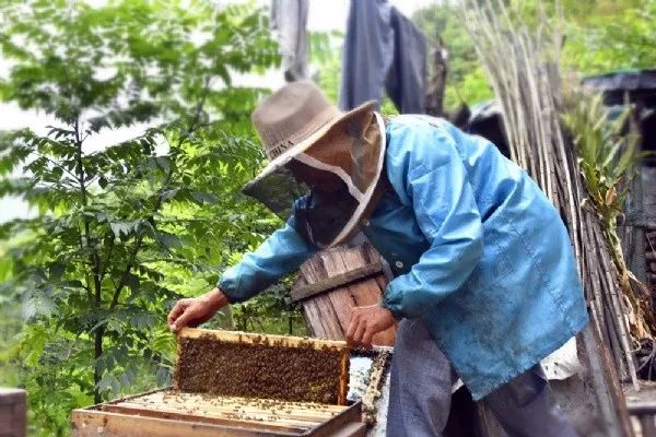 致富故事_致富经洪华贵故事_养驴致富故事