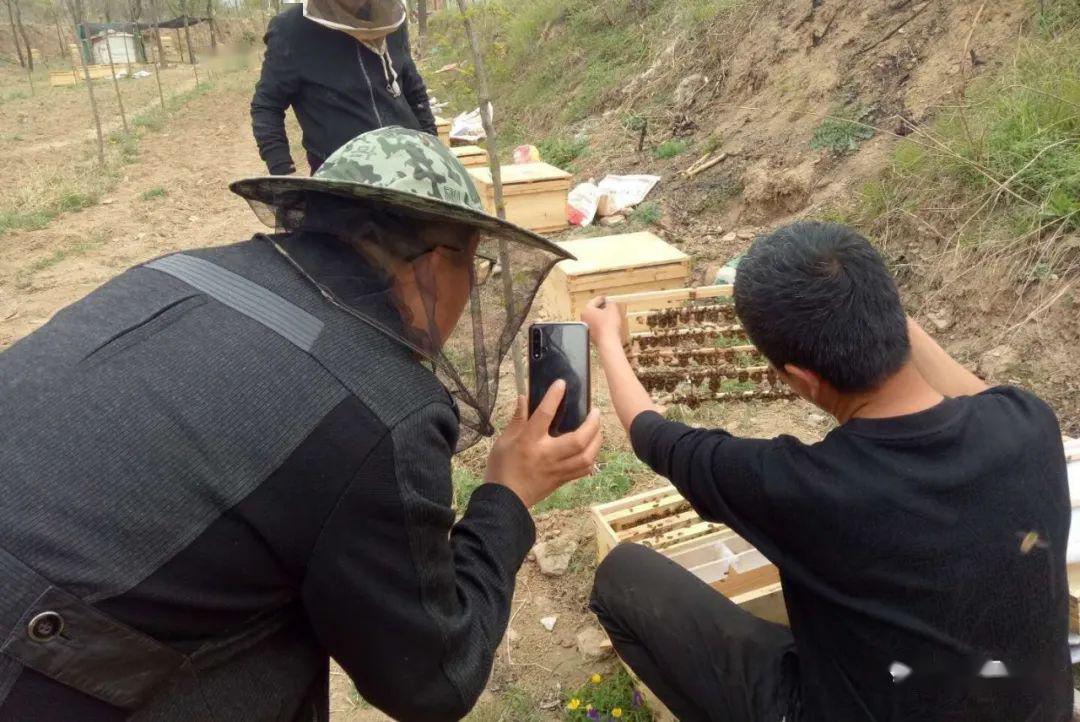 种植致富的农村_农村致富新项目种植_农村致富项目种植业