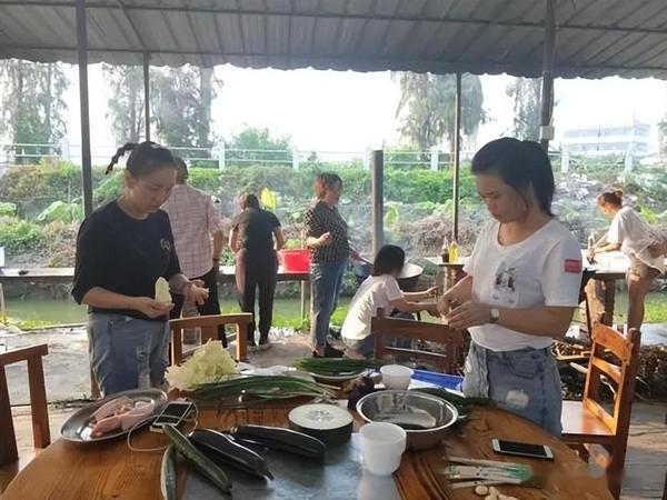 黑参种植致富经_黑参种植效益_黑参种植成本及利润