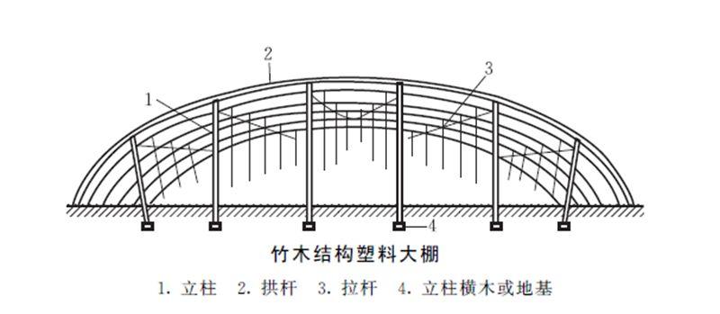 空心菜大棚种植技术_黄瓜大棚种植技术_大棚 种植技术