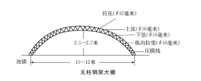 空心菜大棚种植技术_大棚 种植技术_黄瓜大棚种植技术