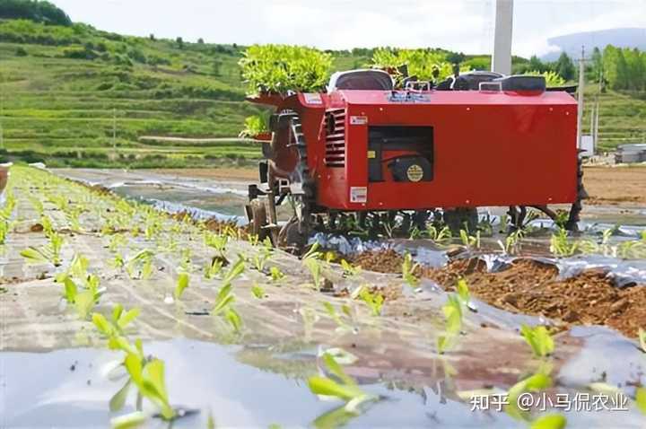农民致富种植项目_农田种植致富_致富农田种植补贴政策