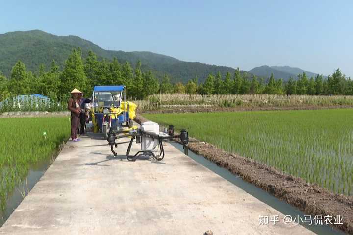 致富农田种植补贴政策_农民致富种植项目_农田种植致富