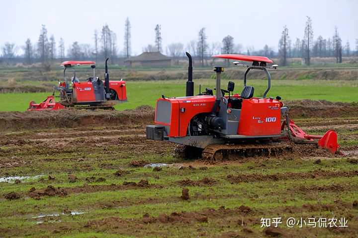 农民致富种植项目_致富农田种植补贴政策_农田种植致富