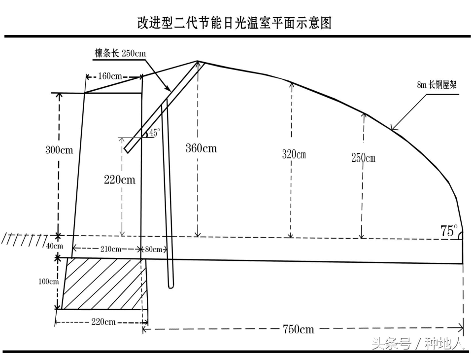 空心菜大棚种植技术_黄瓜大棚种植技术_大棚 种植技术