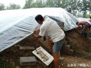 空心菜大棚种植技术_黄瓜大棚种植技术_大棚 种植技术