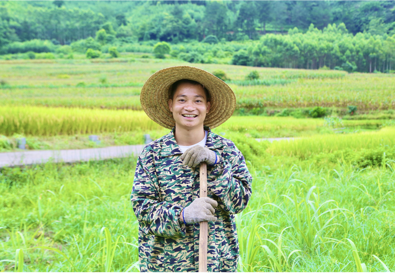 种植甘蔗致富能手_种植甘蔗致富_致富经甘蔗种植视频