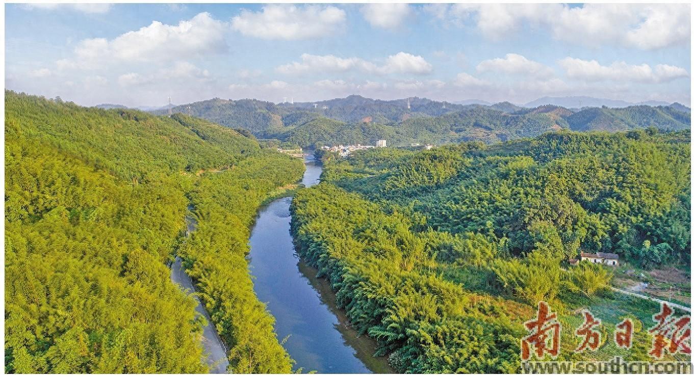 西牛镇跑出    乡村振兴“加速度”