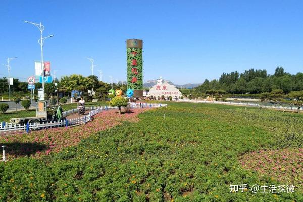 致富经 河北_河北省农村致富带头人_致富经河北保定赵晨