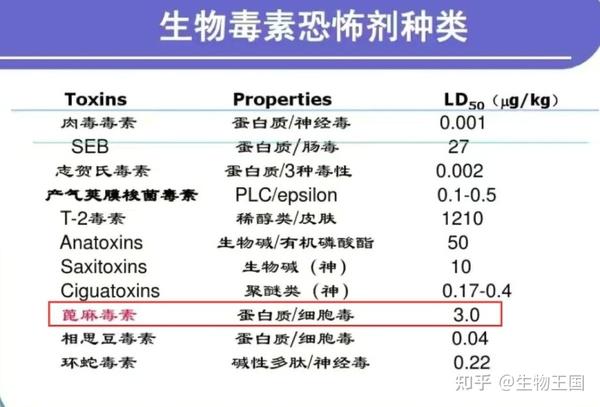 致富经蓖麻种植视频_种植蓖麻可致富_种植蓖麻致富