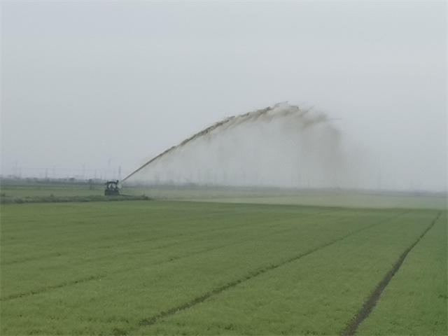 养牛场牛粪价格_牛粪养殖致富吗_牛粪养猪技术视频