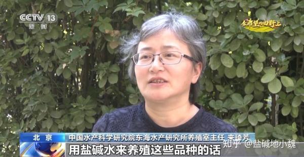 南美白虾养殖技术大全_南美白虾淡水养殖_淡化白美虾养殖基地