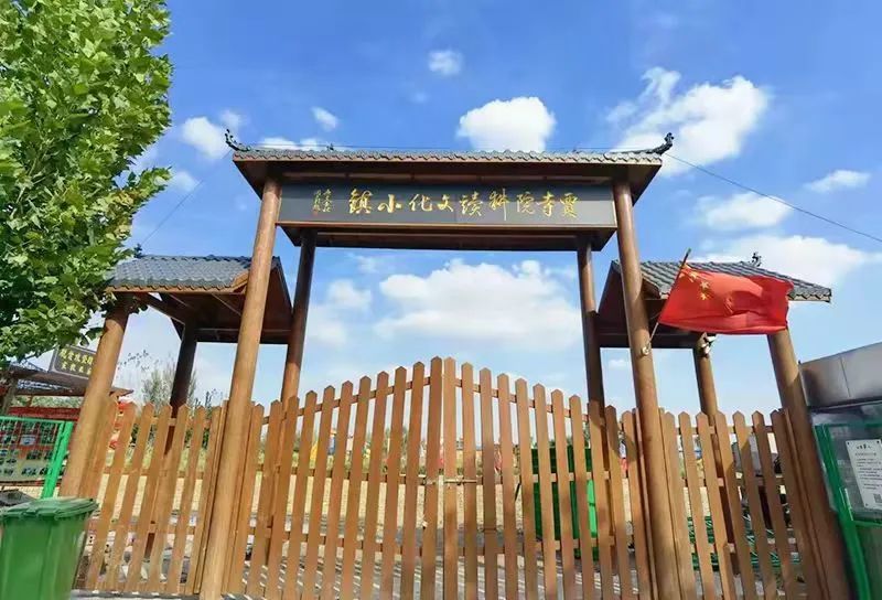 种植瓜菜助力乡村振兴_瓜娄种植利润_每日农经致富经种瓜