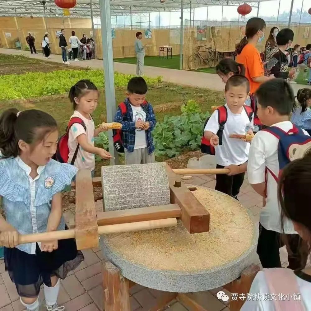 种植瓜菜助力乡村振兴_瓜娄种植利润_每日农经致富经种瓜
