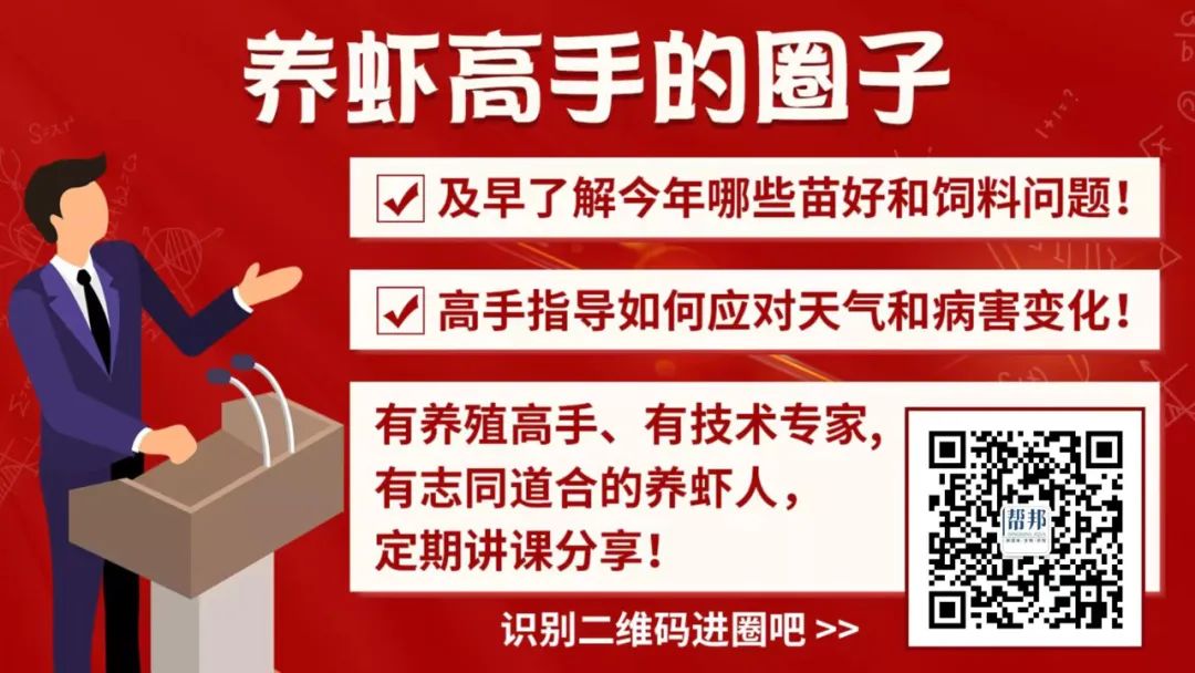 龙虾养殖水深多少_小龙虾深水养殖技术_龙虾养殖深水技术小视频