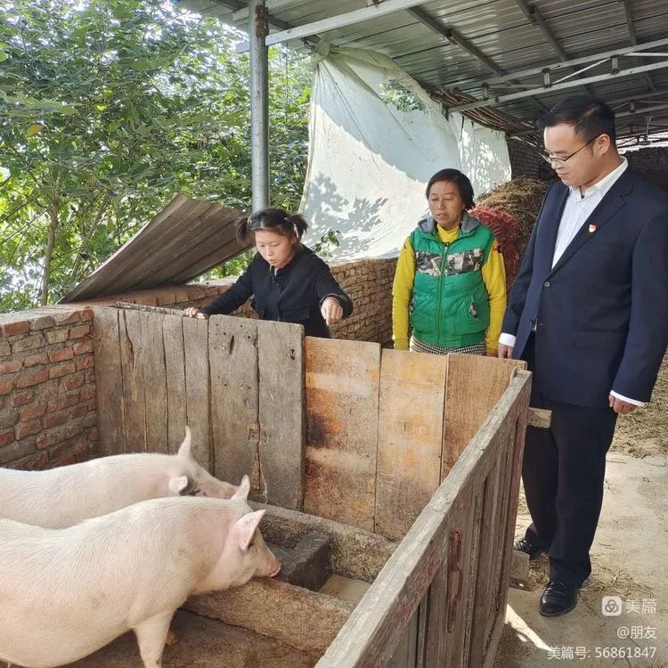 致富羊养大型胡羊好吗_致富经大型养胡羊_2020年致富经养羊视频