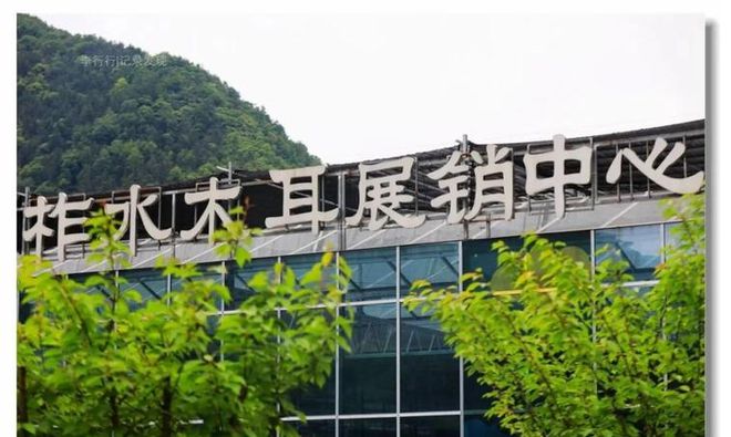 致富黄花种植菜地图片_致富经黄花菜种植_黄花菜致富花