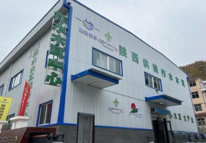黄花菜致富花_致富经黄花菜种植_致富黄花种植菜地图片