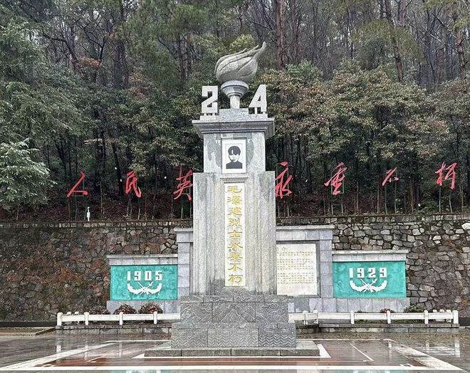 致富黄花种植菜地图片_黄花菜致富花_致富经黄花菜种植