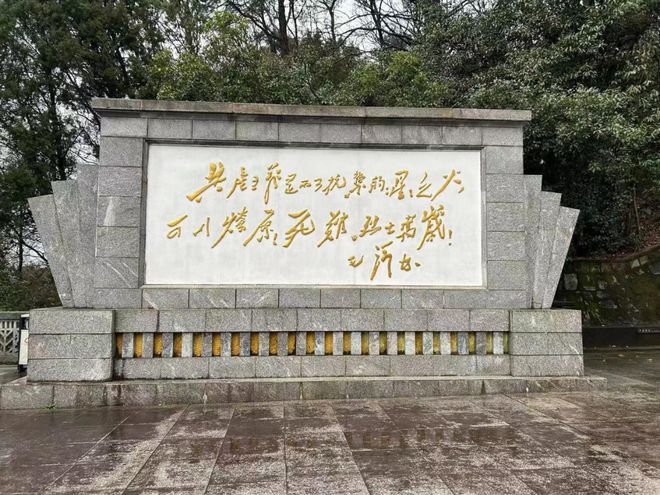 致富经黄花菜种植_致富黄花种植菜地图片_黄花菜致富花