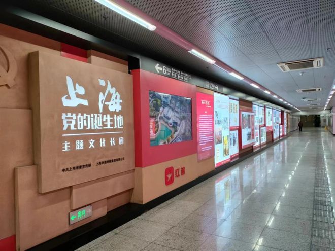 致富黄花种植菜地图片_致富经黄花菜种植_黄花菜致富花