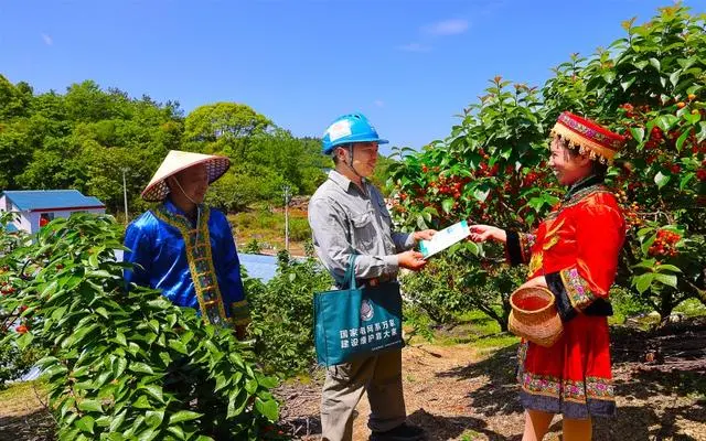 致富大棚种植樱桃视频_大棚种植大樱桃_大棚樱桃种植致富