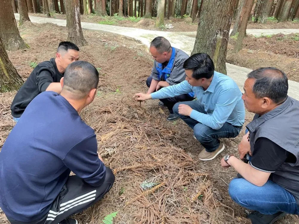 纳雍农村养殖致富_纳雍养殖政策_纳雍养鸡