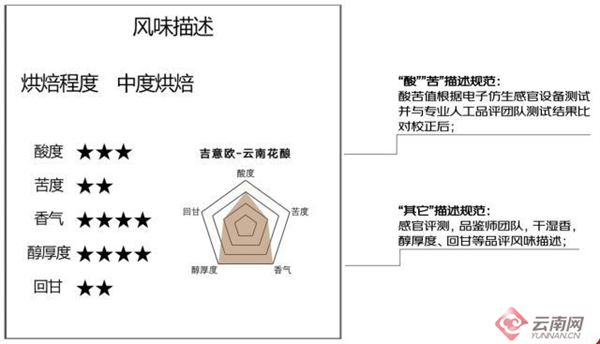 云南咖啡种植业_云南种植咖啡致富_云南种咖啡