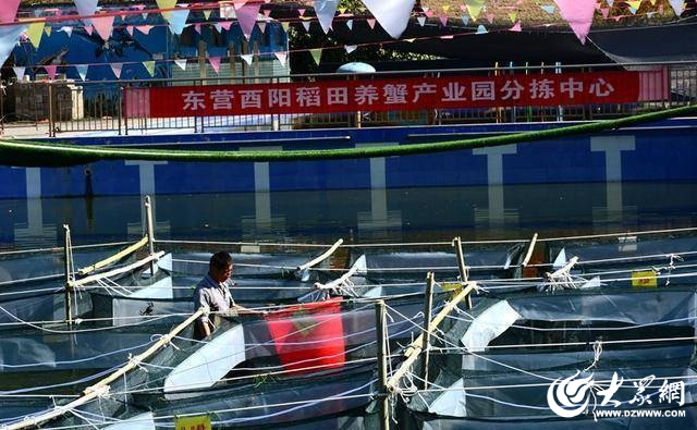 养殖大闸蟹的利润高不_致富养殖大闸蟹怎么样_大闸蟹养殖致富