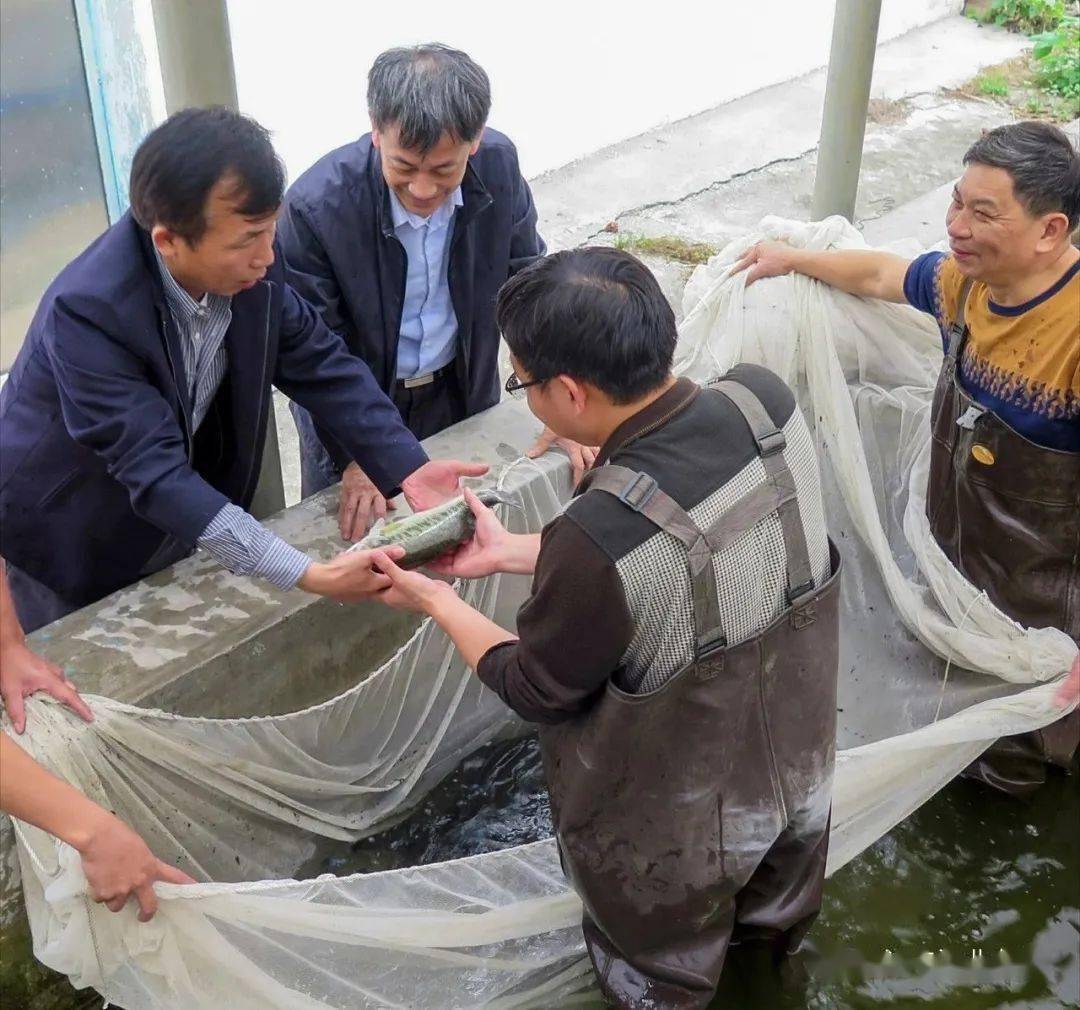 蜈蚣养殖厂_蜈蚣养殖销路_广东省蜈蚣养殖技术