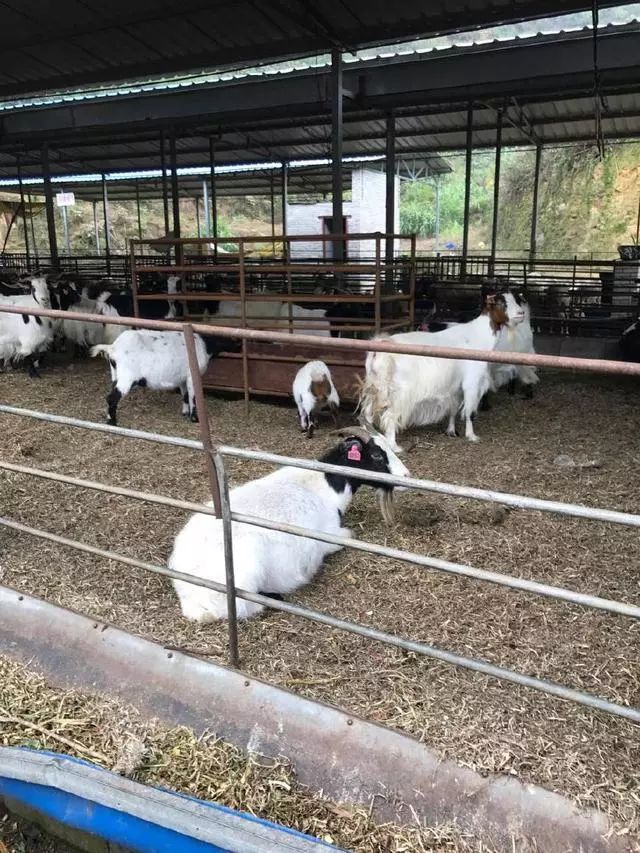 特种种植致富_致富经特种养殖_致富种植视频全集