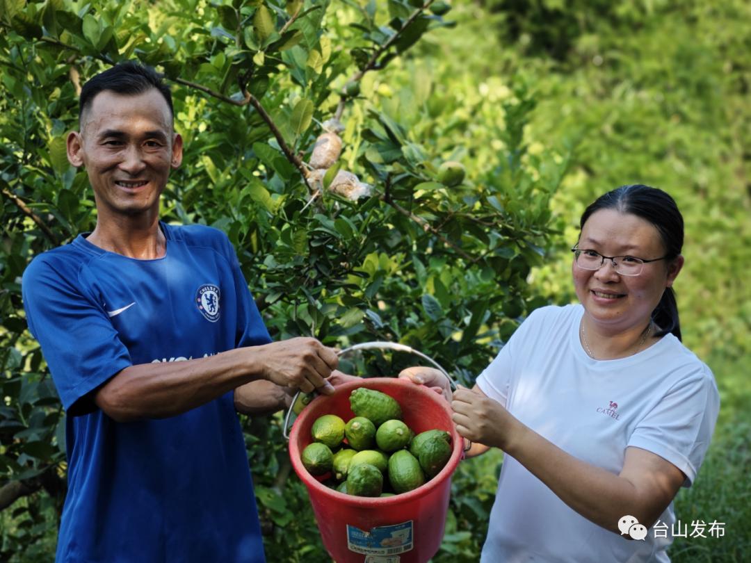 致富种植视频全集_致富果免费种植_致富经种果树