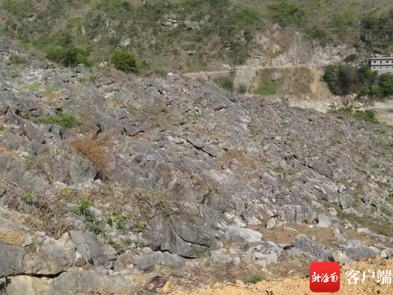 致富果免费种植_致富种植视频全集_致富经种果树