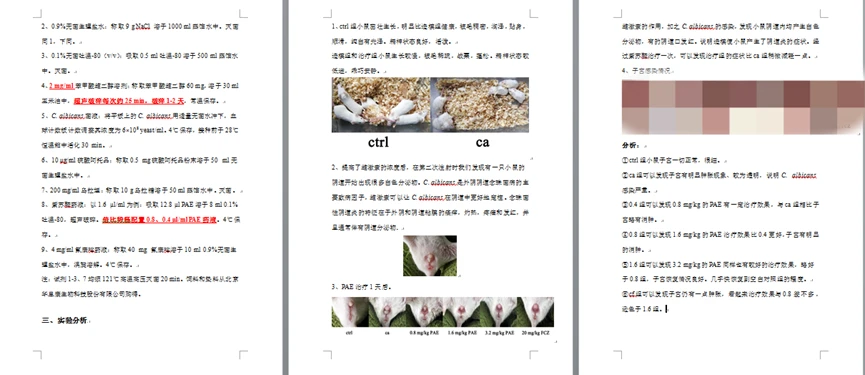 经验分享型软文_分享优秀经验_大数据优质经验分享