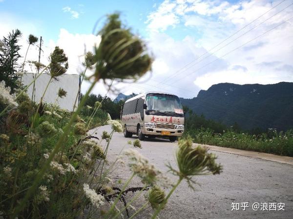 种植枸杞 致富_致富枸杞种植方法_枸杞种植效益