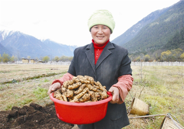 野生菌价钱_致富经野生菌_野生菌厂家