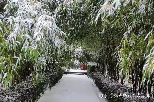 养殖鸭嘴鱼技术_致富经鸭嘴鱼养殖视频_鸭嘴鱼苗养殖技术视频