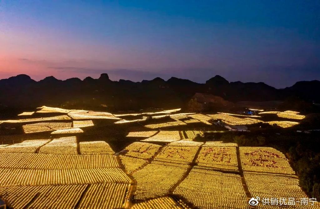 致富种植视频全集_种植致富经_致富果免费种植