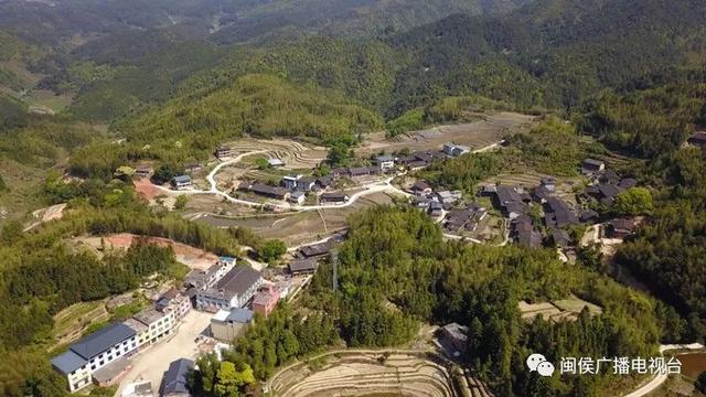 闽侯“山沟沟”里的致富经 一起来学习