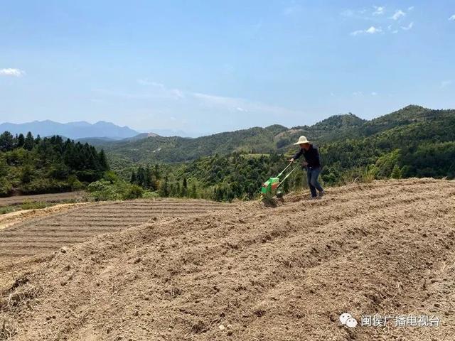 怎样利用竹子致富_致富经靠竹子致富的_竹子致富项目