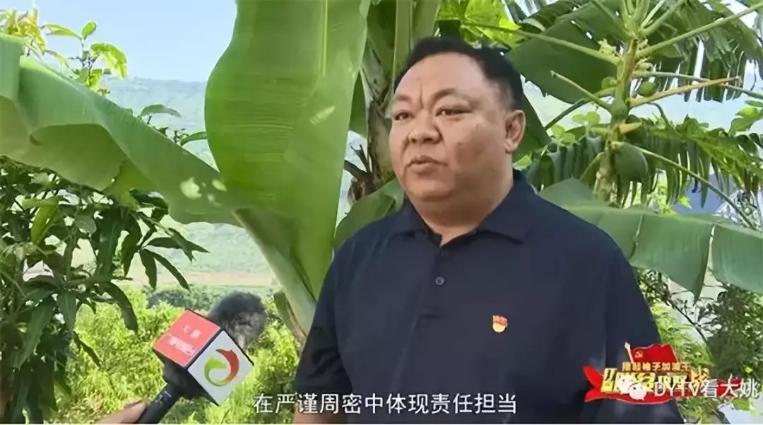 致富经周疯子丝瓜_丝瓜种植致富_河南丝瓜种植人周魏峰