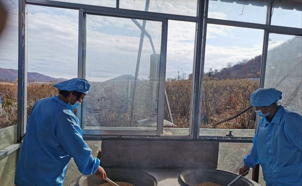 种植山参多少钱一克_致富种植山参图片大全_山参种植致富