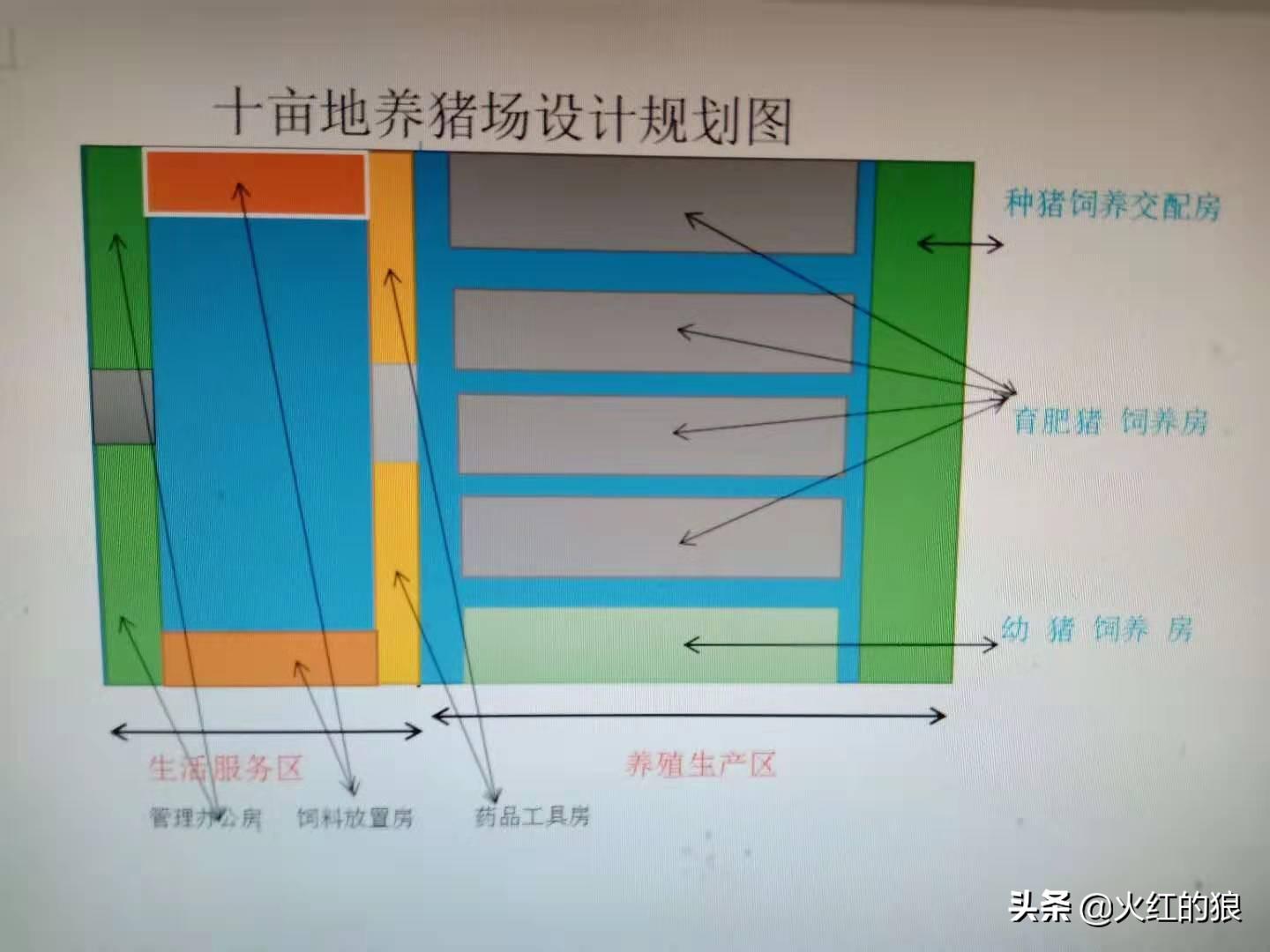 养殖狼有什么经济效益_致富经养殖狼_养殖狼